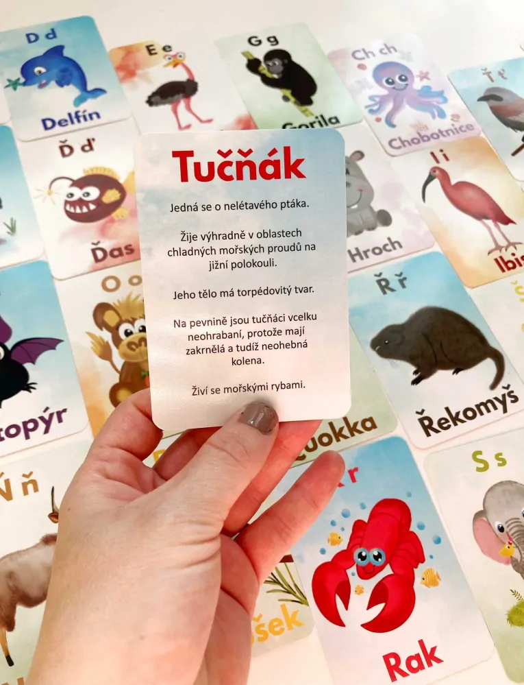 Zvířátková abeceda