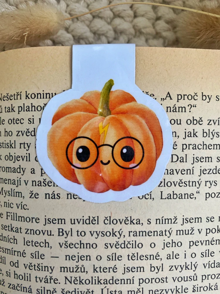 Magnetická záložka do knihy Dýně